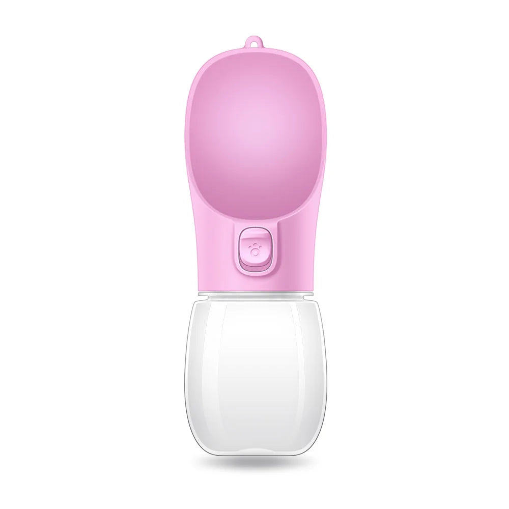 Portable water bottle