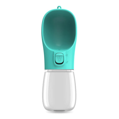 Portable water bottle