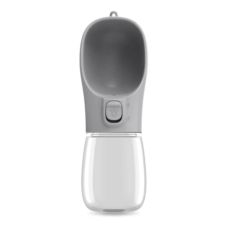 Portable water bottle