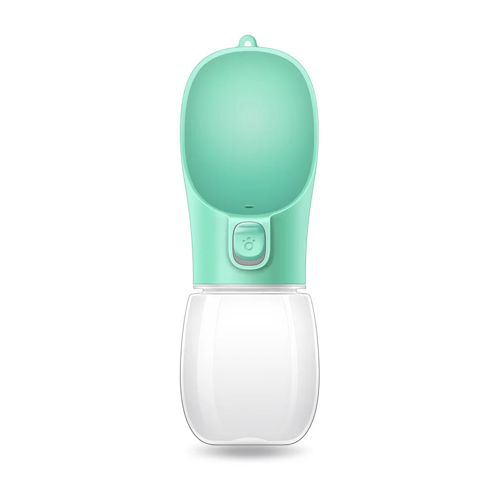 Portable water bottle