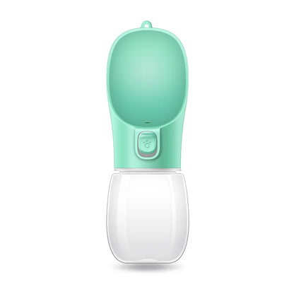 Portable water bottle