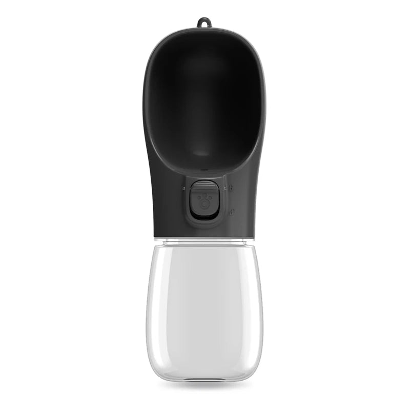 Portable water bottle