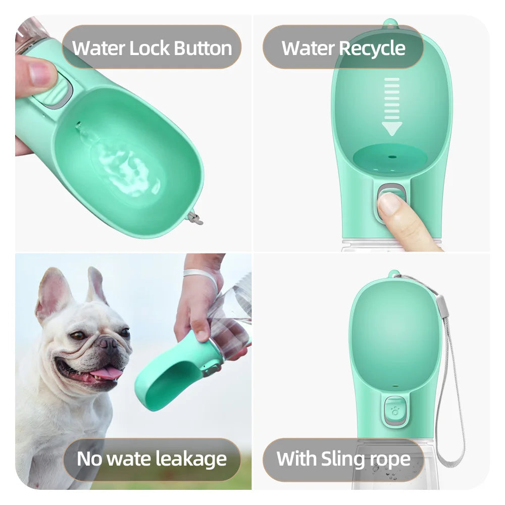 Portable water bottle