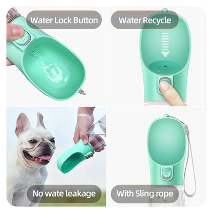 Portable water bottle