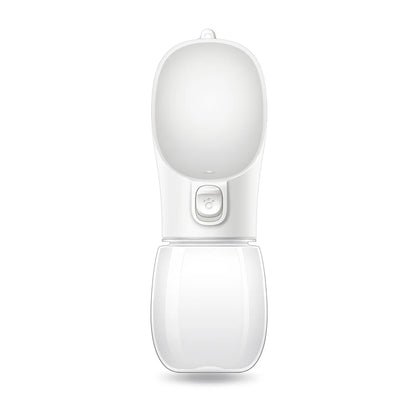 Portable water bottle