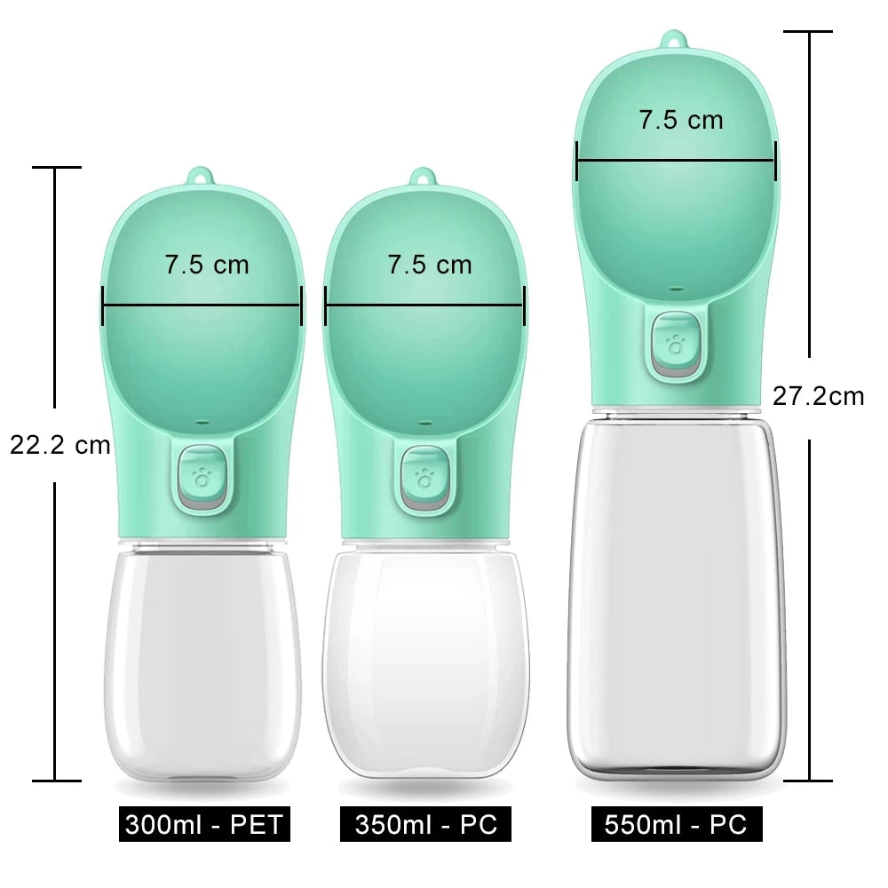 Portable water bottle