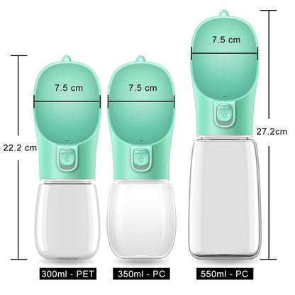 Portable water bottle