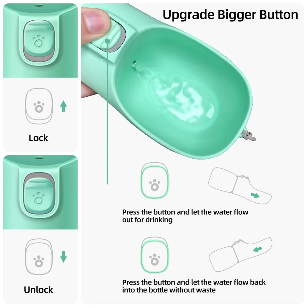 Portable water bottle
