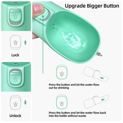 Portable water bottle